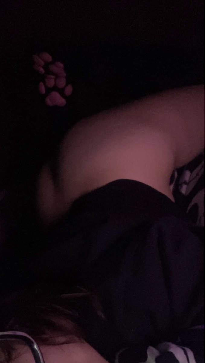_QTzomblee's tweet photo. Kitty wants butt pats :3 * pat pat *
#catgirl #paws #nsfw #petplay https://t.co/qKHcmFZVww