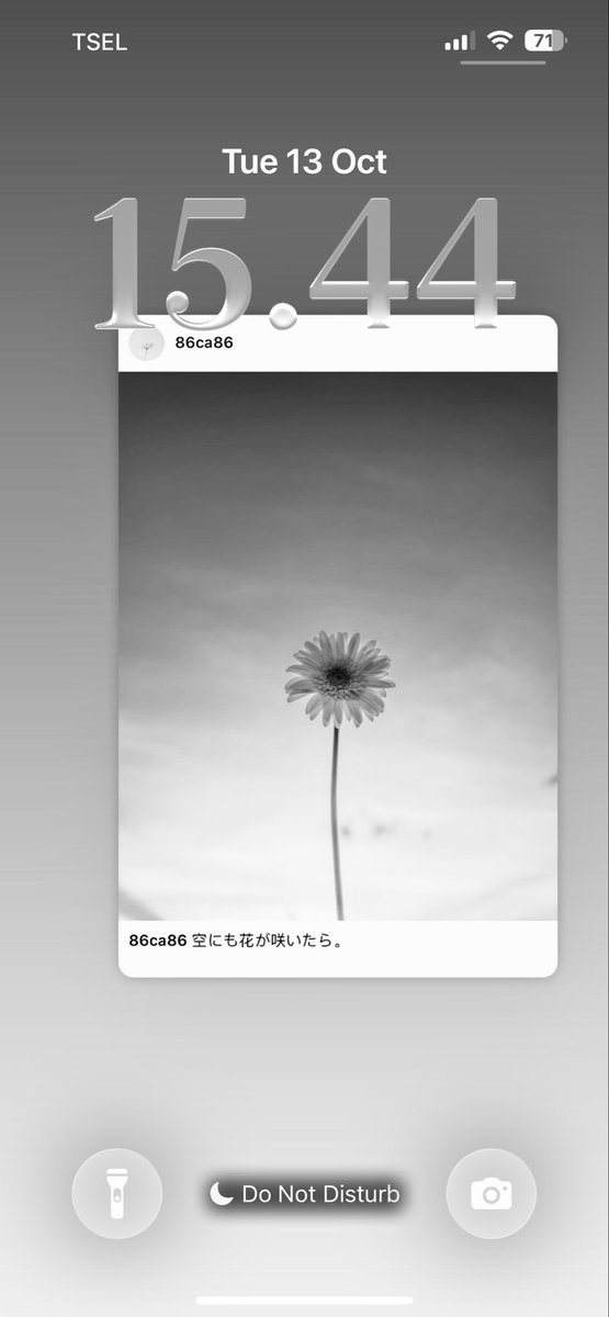 Havnnnrs's tweet photo. 🌼 https://t.co/CYyfEG1UfY