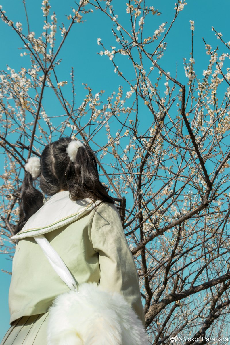 Chadoori3's tweet photo. [早朝の公園で、茁ちゃんが小さな蕾を抱えて嬉しそうに笑う。先日後悔していたことも今日は忘れ、凍えそうな指先で柔らかい春の息吹を感じている]， https://t.co/EYCCHpcFDr
