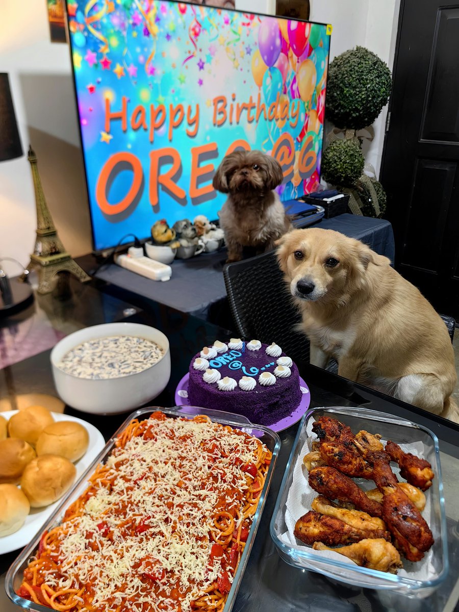 thesweetestfrey's tweet photo. Dito na lang kami sa X mag-celebrate ng bday ni Oreo. Para sa money 💵💸💰

repost na po sa makikikain 😂 https://t.co/yZ91zWVwwq