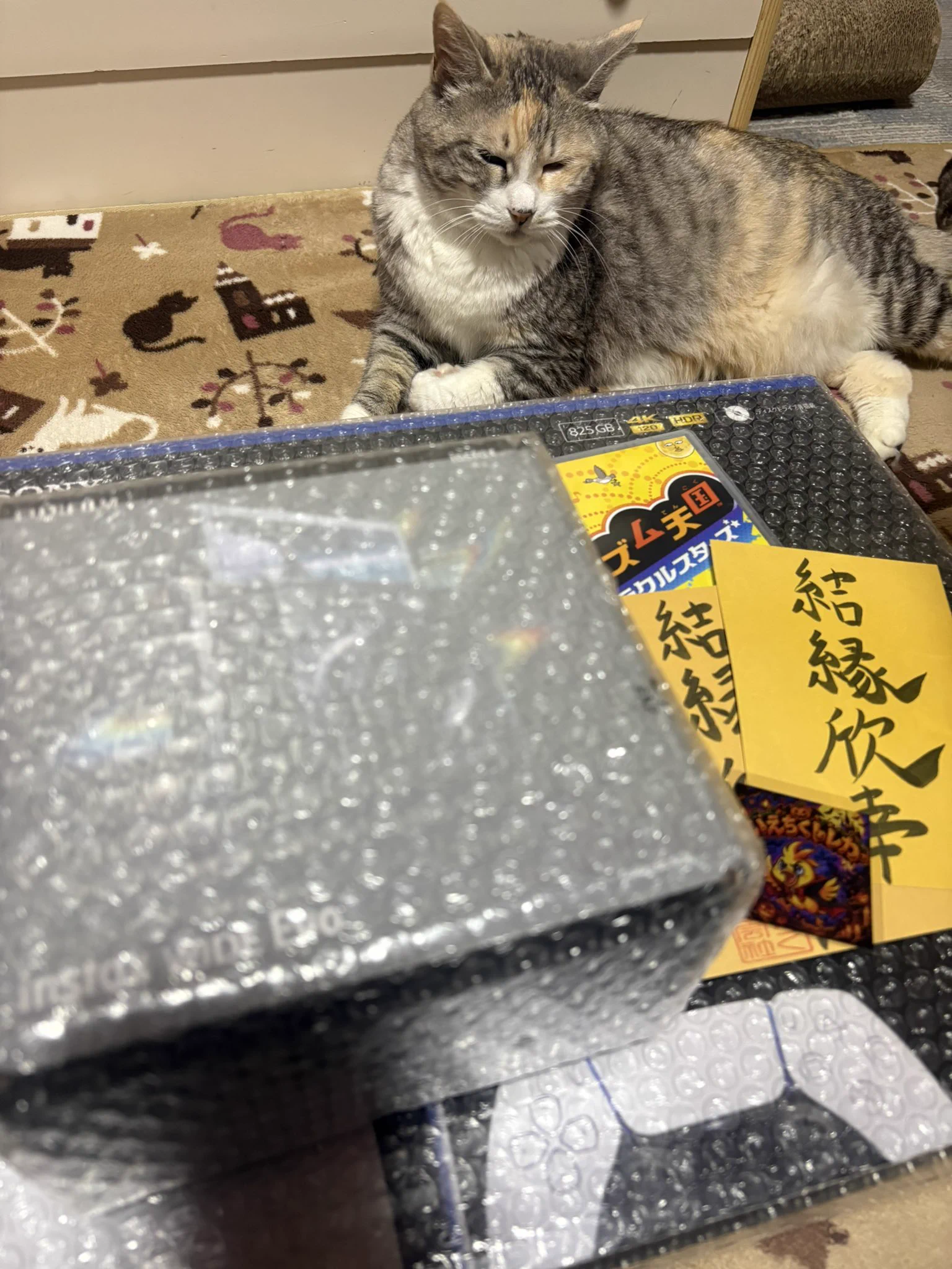 ねこ## on X: 