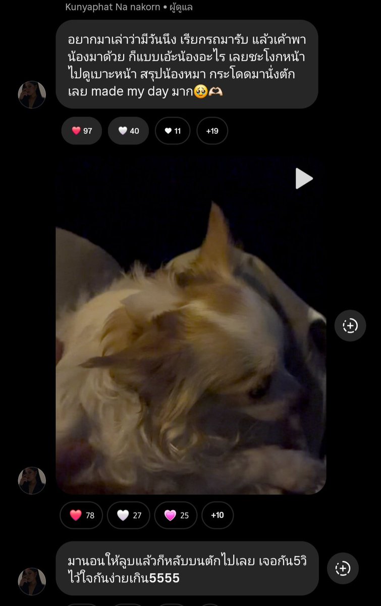 Apiwan1145's tweet photo. ยูกม๋ากับยูกม๋า🐶🫳🏻

#fay_riezz https://t.co/8hAY91TxdU
