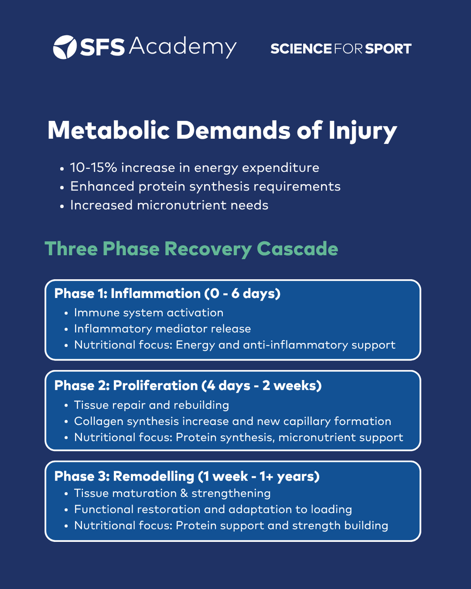 ScienceforSport's tweet photo. A mini-course delivered by @James_Morehen 

Here are some numbers from just two of eight modules:

🔋 Physiological and metabolic demands of injuries
🙋‍♀️ Individualised energy requirements during injury

Click the link below to watch it 🔗 

https://t.co/vkAvXuO6WG https://t.co/Szm9lhAL1J