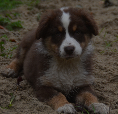 Dexter06082013's tweet photo. Oktober 2013... https://t.co/DYV28y87BK