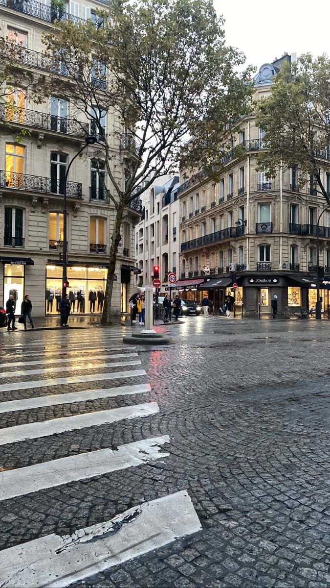 naturebeauty760's tweet photo. Paris, France 🇫🇷 https://t.co/qFqMUL5PT1