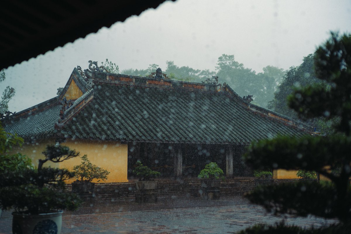 JuniorVhs's tweet photo. Chiều nay, mưa lại phủ lên xứ Huế, nhuộm phố phường một màu trầm lặng và dịu dàng. https://t.co/TCqyPqjoom