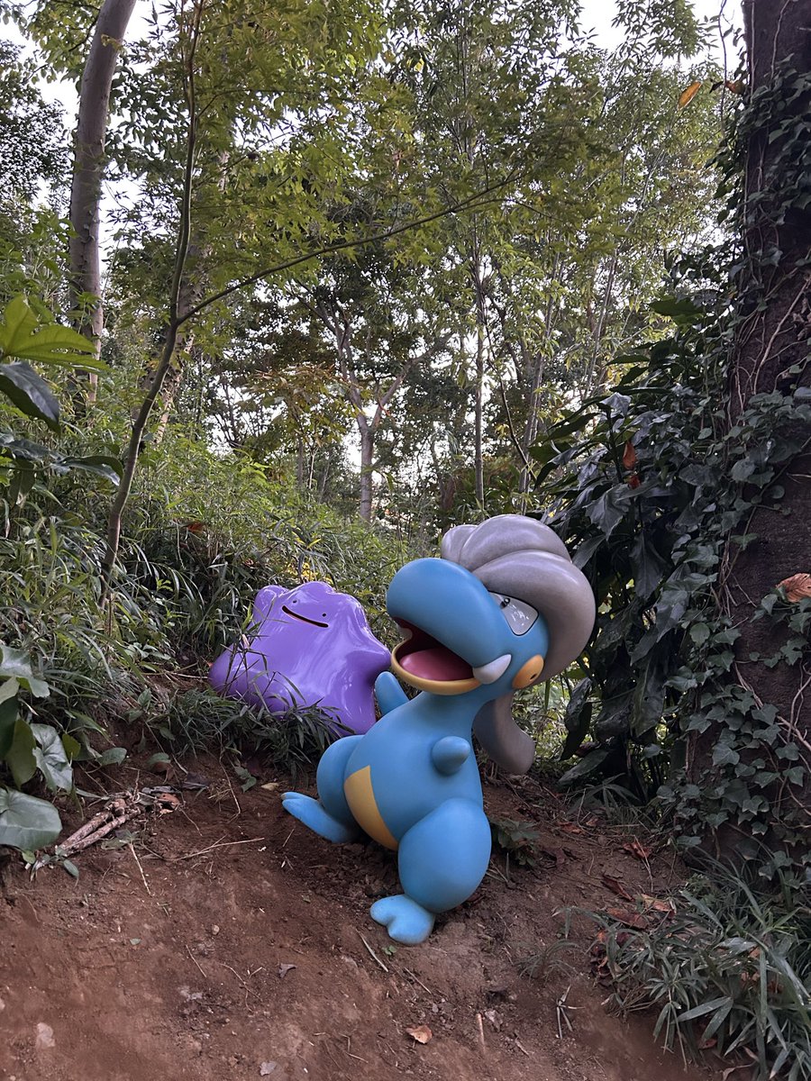 aoi_70's tweet photo. 4月と10月行ったポケパークの写真見比べてた、なんかメタモン増えてない……？

←4月　10月→ https://t.co/z3XKfxtuGR