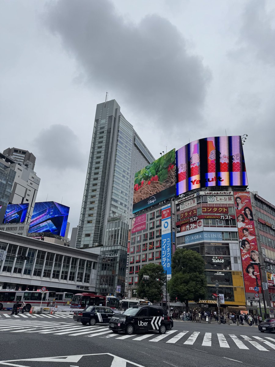 desjardins21's tweet photo. This trip to japan I used @travalacom smart program to book. They gave me 12% back on my booking #gooddeal https://t.co/HMDEZJzo96