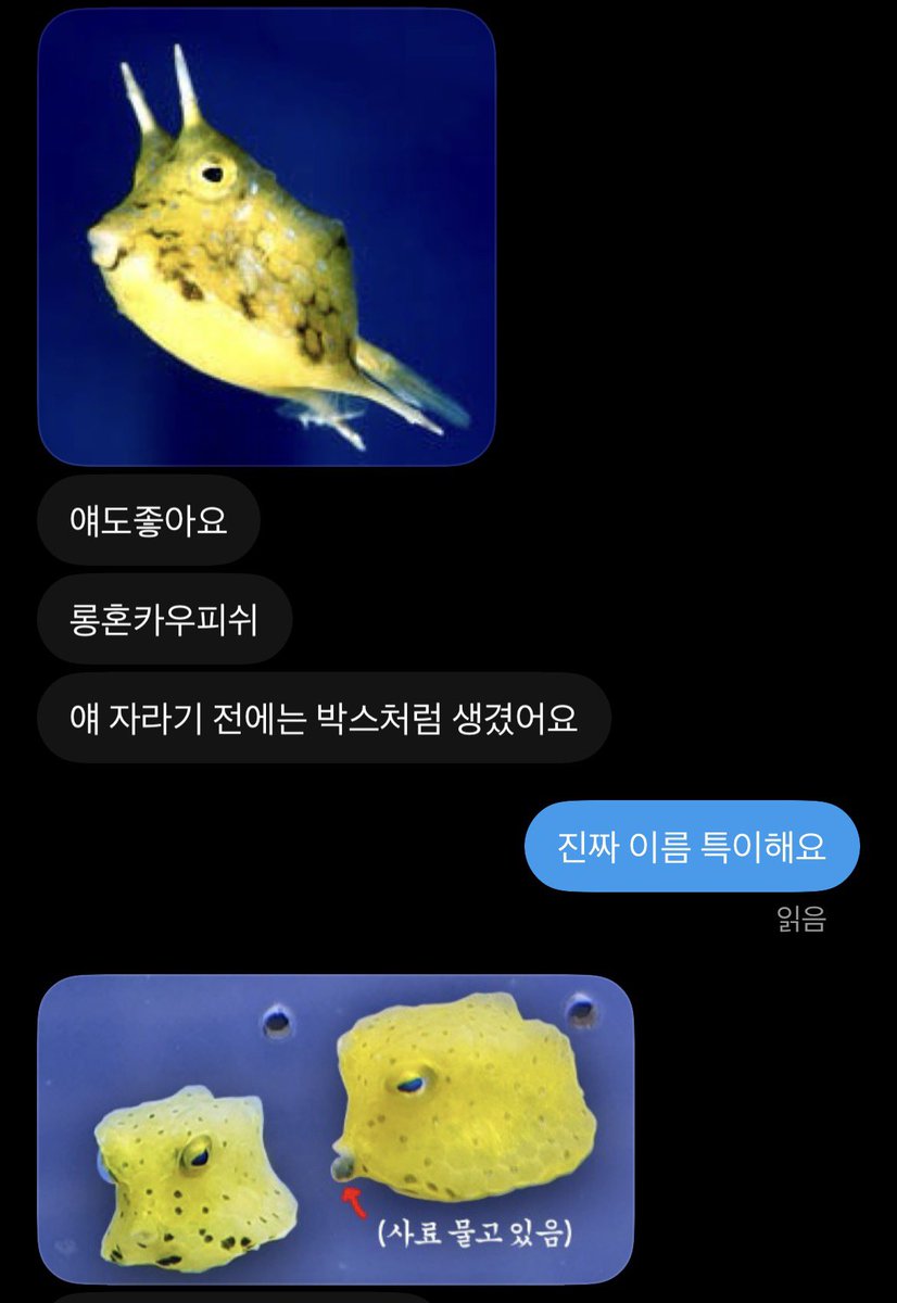 Soovthy's tweet photo. 멍님 취향모음 https://t.co/vCwgxr6ms5