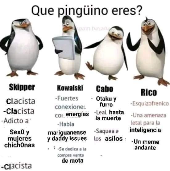 kowalskiill's tweet photo. Asi mis pingüinos y yo https://t.co/XaBthQRJ5a
