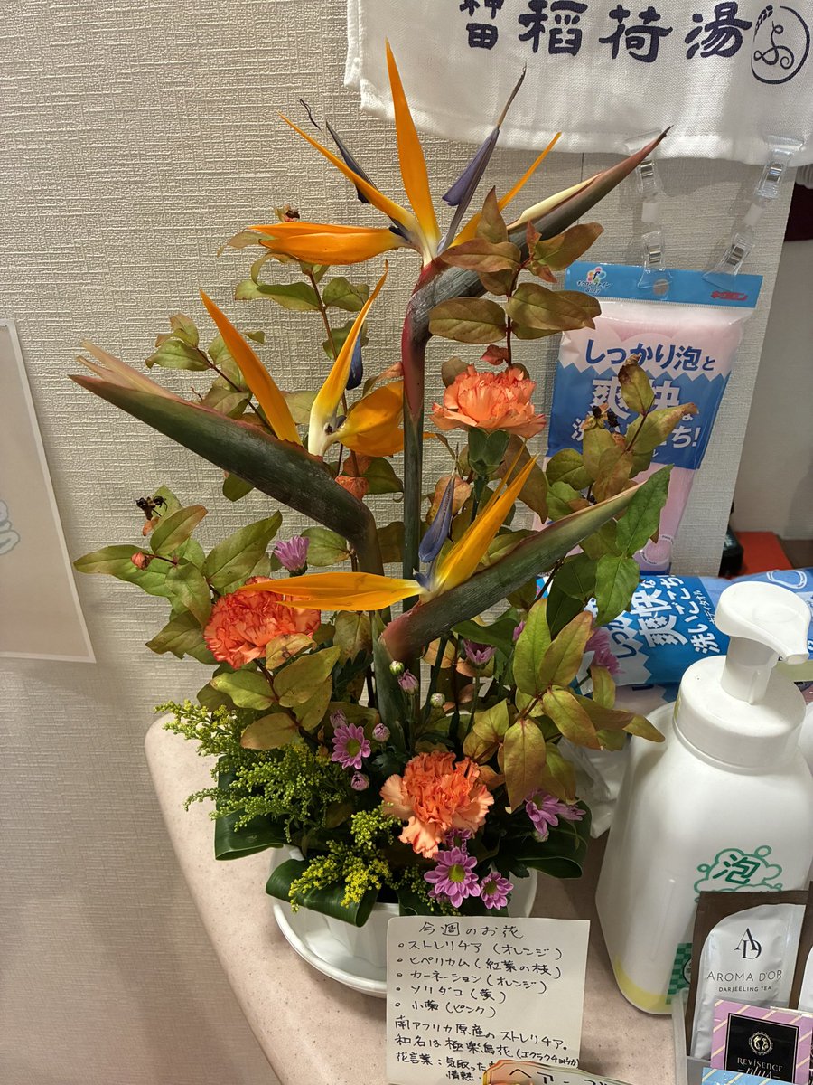 inariyu_kanda's tweet photo. こんにちは、神田 #稲荷湯 です！
今週も素敵なお花をフロントにてご覧いただけます💐
14:40-22:30営業です！
#東京駅 #大手町 #銭湯 https://t.co/XUYk2mOPZH