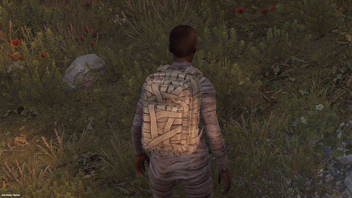 PL3_workshop's tweet photo. Mummy's Large Backpack - https://t.co/eKSCXW89mz
@Helkus @gerrmanman @playrust @HedgesnVideos
#rust #rustskins #rustworkshop #rustober https://t.co/85jnHQlVdS