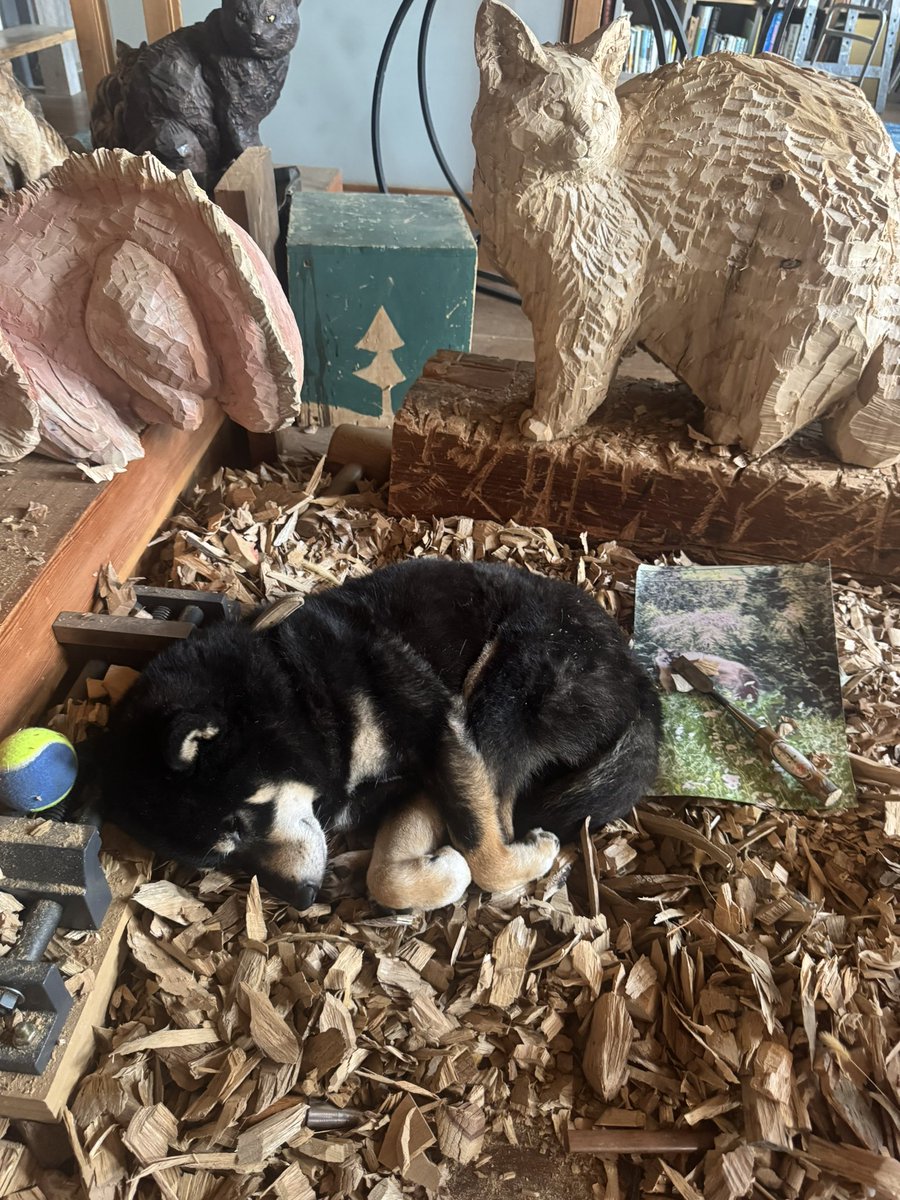 hashimotomio's tweet photo. アトリエにひとりでこもり、制作に打ち込める1日は、とても貴重でかけがえのない。自分という生命を体験する時間、という感覚。
つくることは、自分を知ること。
彫刻は、自己理解。 https://t.co/aQvXju0X94