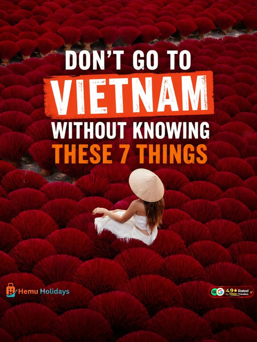 bubu_lima's tweet photo. Discover Vietnam with Hemu Holidays: Hoi An’s charm, stunning landscapes, rich culture and unforgettable flavours. Vietnam packages from ₹36, 999 per person. 7–12 days with flights, permits, transfers and stays included. Comment “VIETNAM” or DM https://t.co/qkFlJowXKx