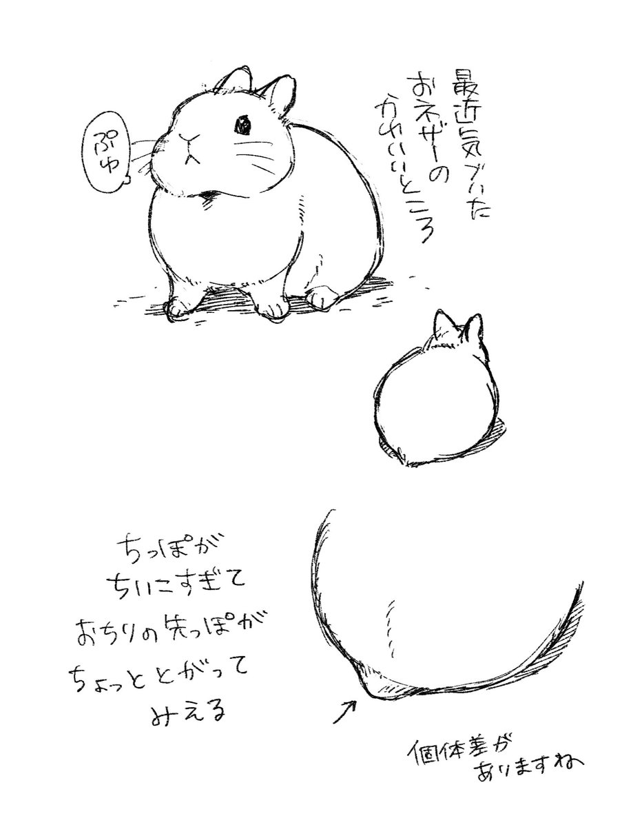 ichthy0stega's tweet photo. https://t.co/7UsNS3GrwJ