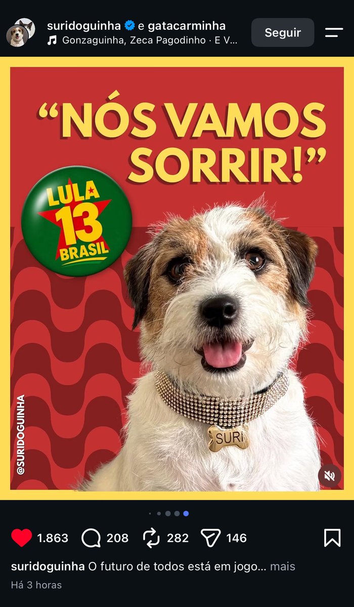 mariatacomlula's tweet photo. @finetongues até a cachorrinha do elenco se posicionou e o selton nada https://t.co/vWys7zcL2I