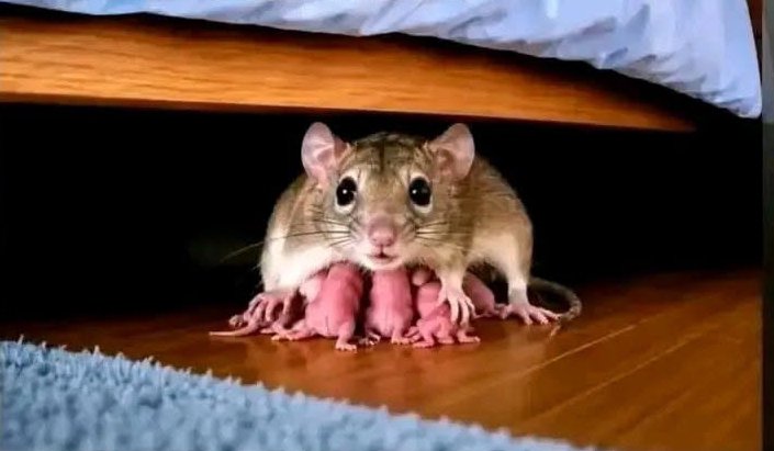 AmaraFaith100's tweet photo. Would you kill it in this situation? 😟 https://t.co/Teicw3nLdb