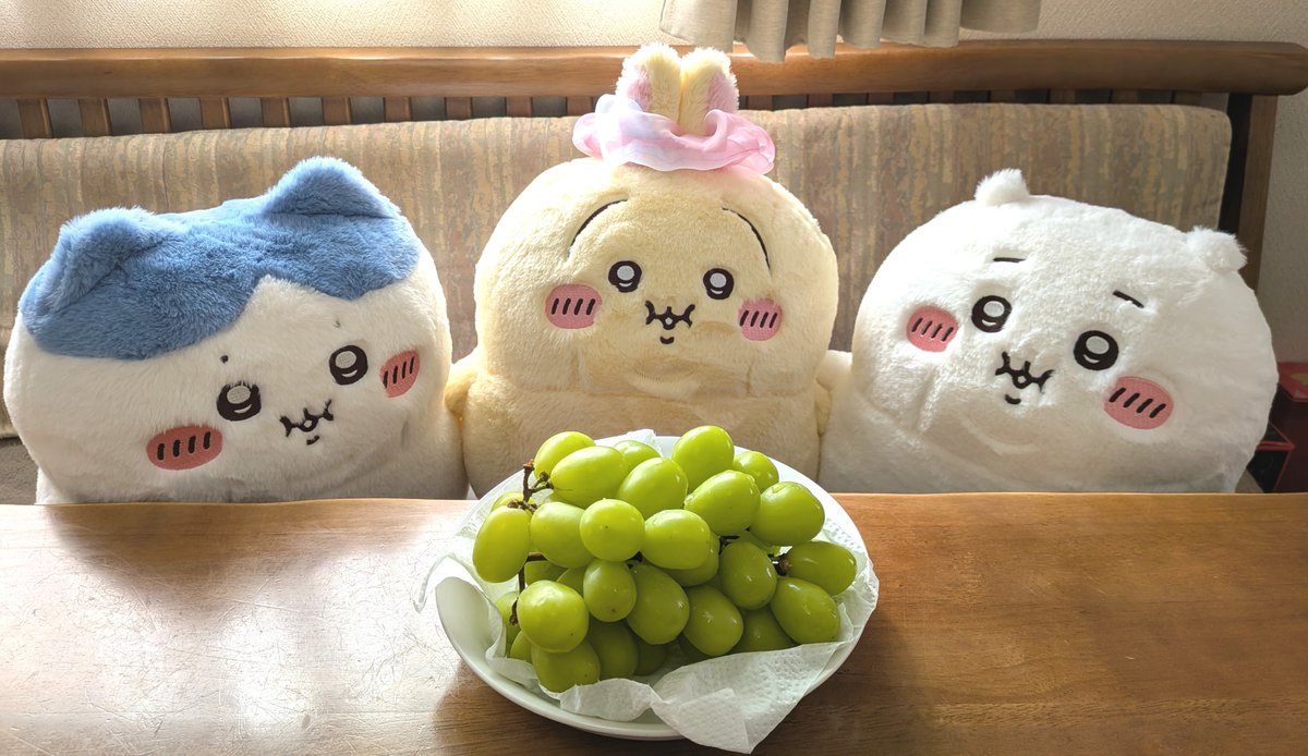 rSjdhU2zVn7544's tweet photo. 一方……あっちのぼっちゃり。
(⁠ ⁠˶⁠ ⁠❛⁠ ⁠ꁞ⁠ ⁠❛⁠ ⁠˶⁠ ⁠)🍇 https://t.co/zbmGBhJbG5