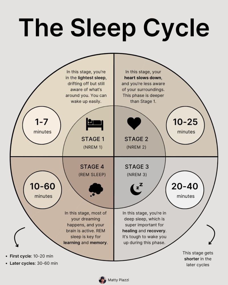 AlwaysKeepL's tweet photo. The Sleep Cycle https://t.co/17Wj0R3XQA