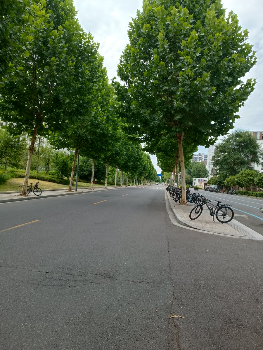 BrielleKimez's tweet photo. 「車が壊れて困ったけど、近くの公園の槐の木が癒してくれる。」， https://t.co/Iazyud5tog
