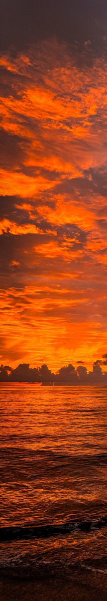Pure_naturess's tweet photo. Sunset https://t.co/yYa8fqRBvo