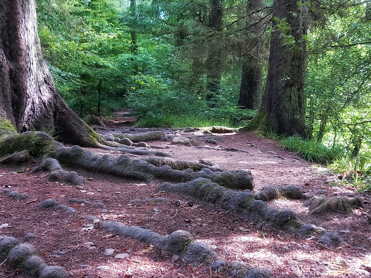 ChristineGedde9's tweet photo. @Grampa1950 Betws y coed  S13A phone pics. Edited for sharpness https://t.co/cJmtDXf2JM