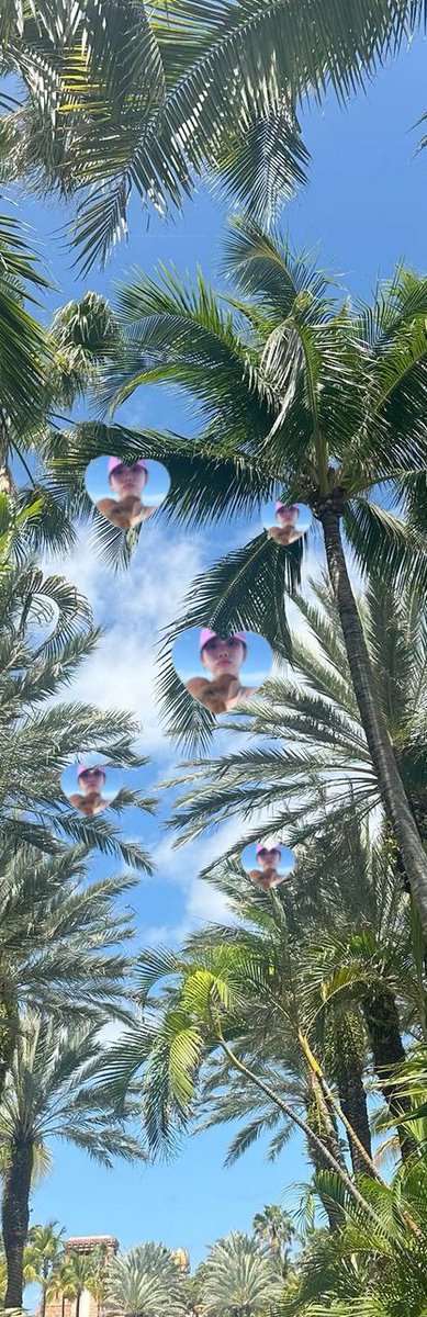 bhacillus's tweet photo. ㅤㅤㅤ
 ㅤㅤㅤ ㅤㅤ ® 🌴   .. 恆💦🦈 https://t.co/4USXZddTWI