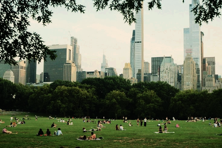 ofwandererx's tweet photo. ㅤ
ㅤ
ㅤㅤㅤ▍𝐓𝐇𝐄 𝐀𝐌𝐀𝐙𝐈𝐍𝐆 𝐓𝐄𝐃𝐃𝐘! 🕸️
ㅤㅤ  📍CENTRAL PARK , NYC 🗽
ㅤㅤㅤㅤㅤㅤ( with @buliyd )
ㅤㅤㅤ       #USAOffScriptAU 🇺🇸
ㅤ
ㅤ