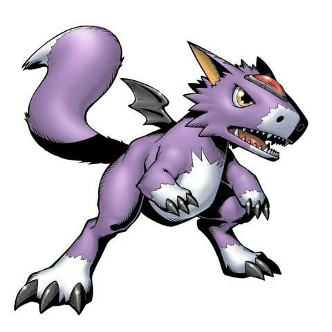 kliveshelly tweet picture