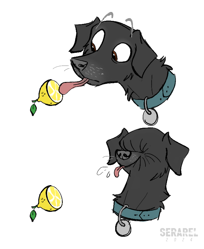 SerarelDeer's tweet photo. Higley tries a lemon https://t.co/QXW3Fjew5j