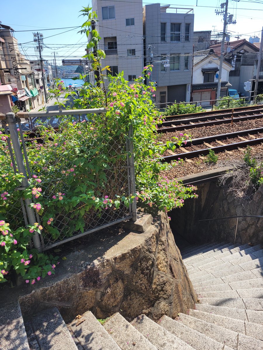 283_Saito's tweet photo. 尾道らしさを十分堪能しました https://t.co/KxR64w0JsJ