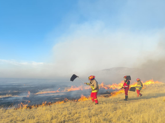 COENPeru's tweet photo. 🚨 Actualización | Puno: @cgbvpoficial, con apoyo de pobladores de la zona, continúan los trabajos de control y extinción del #IncendioForestal iniciado el 10/10 que afecta las comunidades Kakingora, Isla Kamaquen, Sara, Estrella y Kapani, del distrito #Calapuja, provincia Lampa. Al momento, el evento dejó 3 personas heridas, por quemaduras, quienes fueron trasladadas al Hospital III Essalud La Capilla Juliaca; además de daños a viviendas y cobertura natural. Autoridad edil continúa la #EDAN.