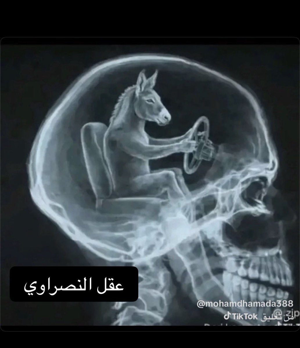 sniperalzaim's tweet photo. @Alzaiim1982 https://t.co/L6IJ33vOpQ
