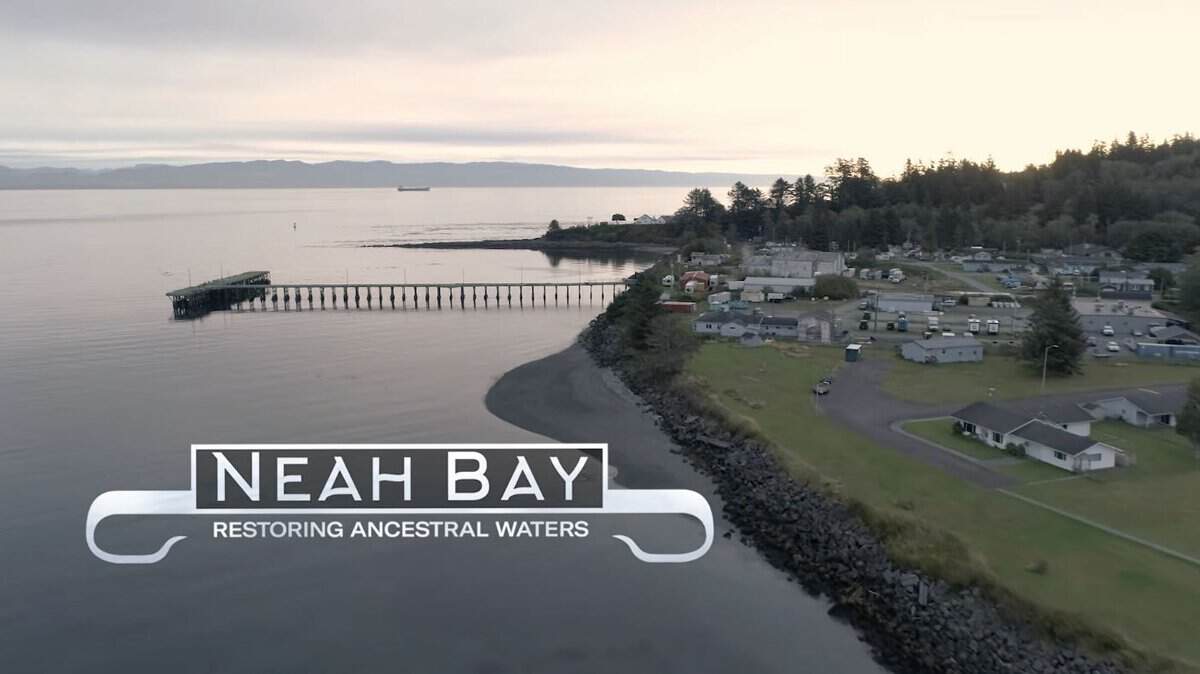 deeperblue's tweet photo. Short Film ‘Neah Bay: Restoring Ancestral Waters’ Released Online dlvr.​it/TVtpr6 https://t.co/kjBn6HszJV