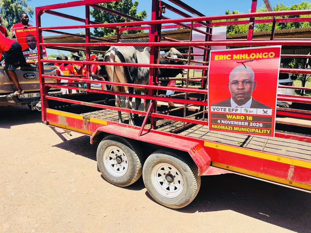 EFF_Nkomazi's tweet photo. ♦️Soshangane Secondary School♦️

EFF Ward Cllr Candidate Fighter Eric Mhlongo accompanied by a delegation of fighters led by Elections Convenor Fighter Ngrayi Ngwenya have officially handed over a donation of a Cow, Stationary, and an Amount of R3000 to  Soshangane Secondary School this morning. 

This initiative by the EFF is meant to support the schools as they will be embarking on Grade 12 School Camps in Preparation for final examinations. The EFF makes this donation to ensure that no learner gets excluded from participating in the camp just because their families could not afford to pay the camp fee.