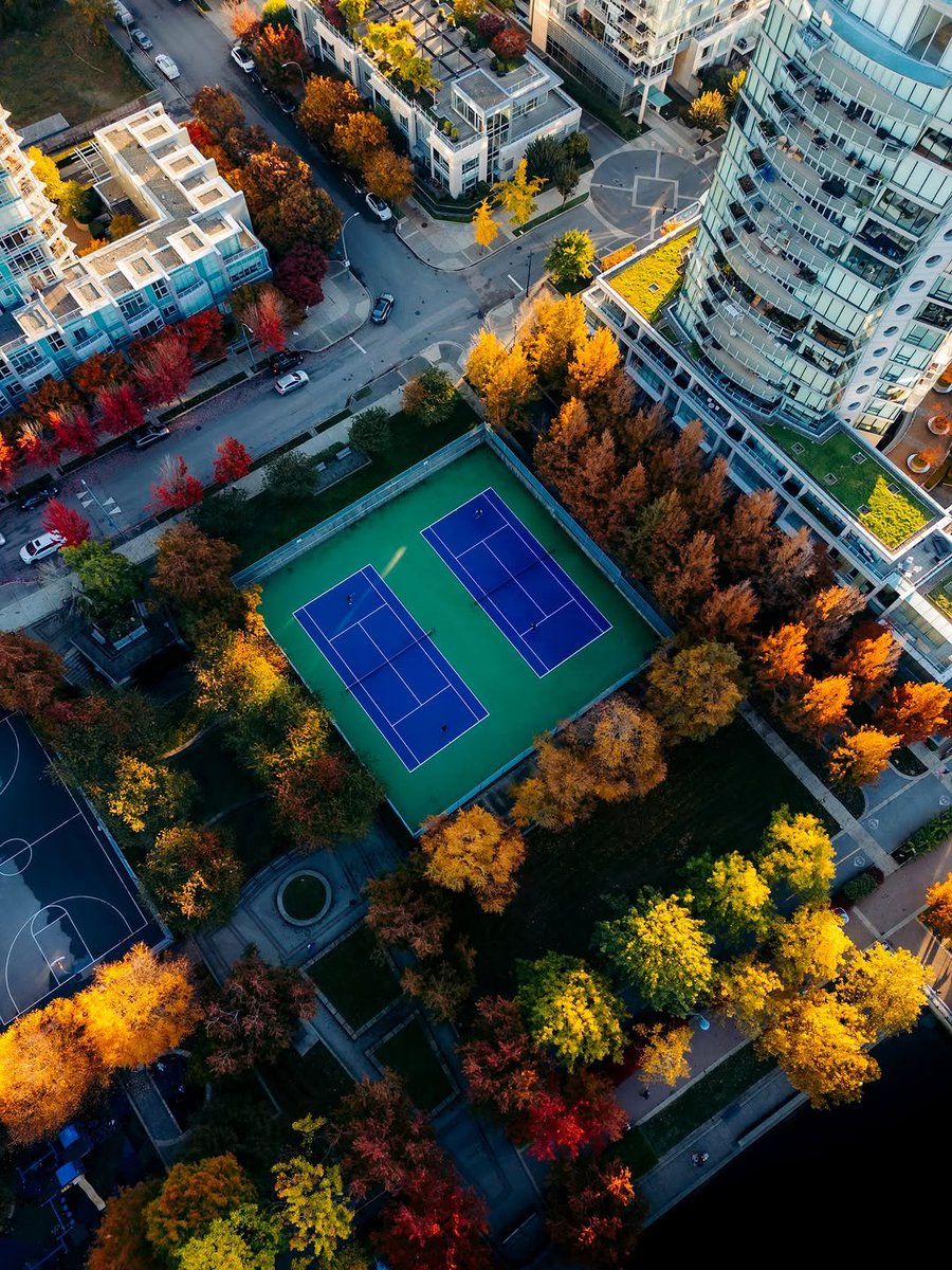 NatureRoot88's tweet photo. Vancouver, Canada 🇨🇦 https://t.co/jMW0YJL9nd