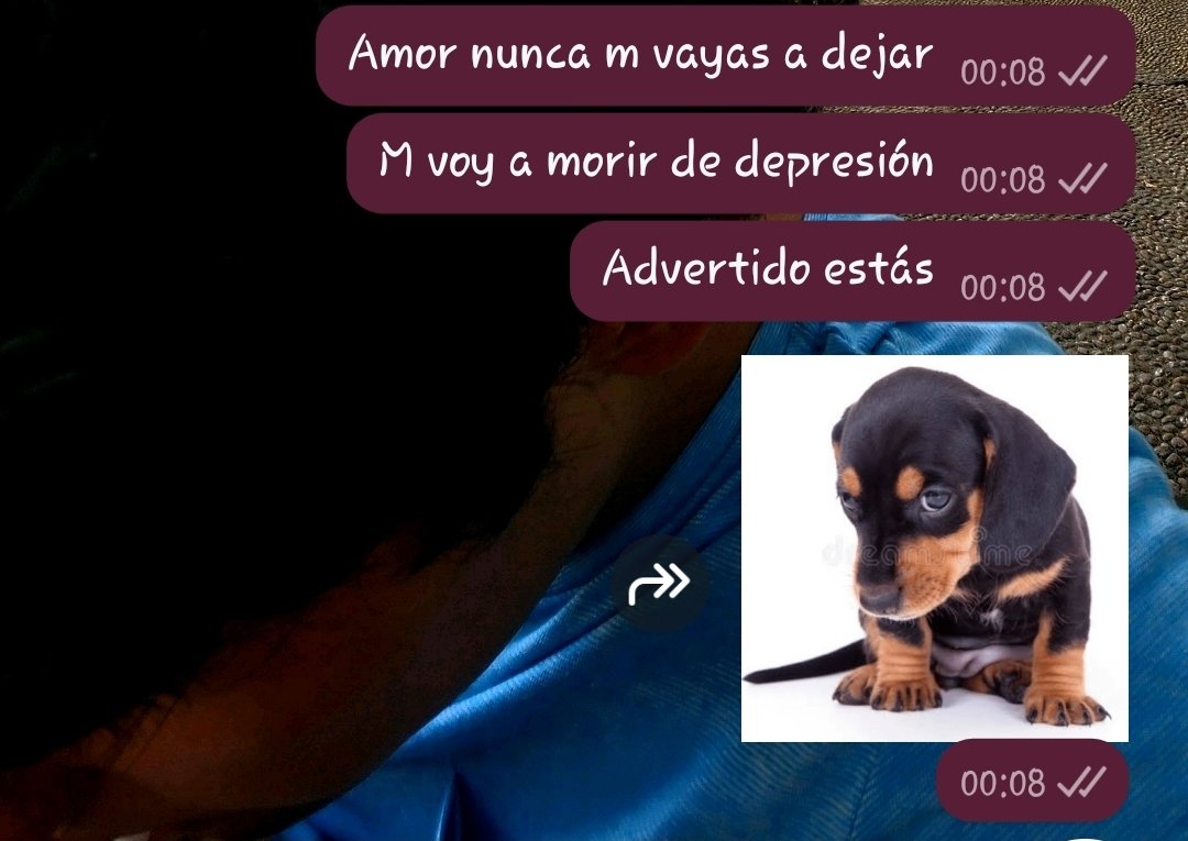 midraingrlalw's tweet photo. Yo de novia: https://t.co/so9k21rzpA