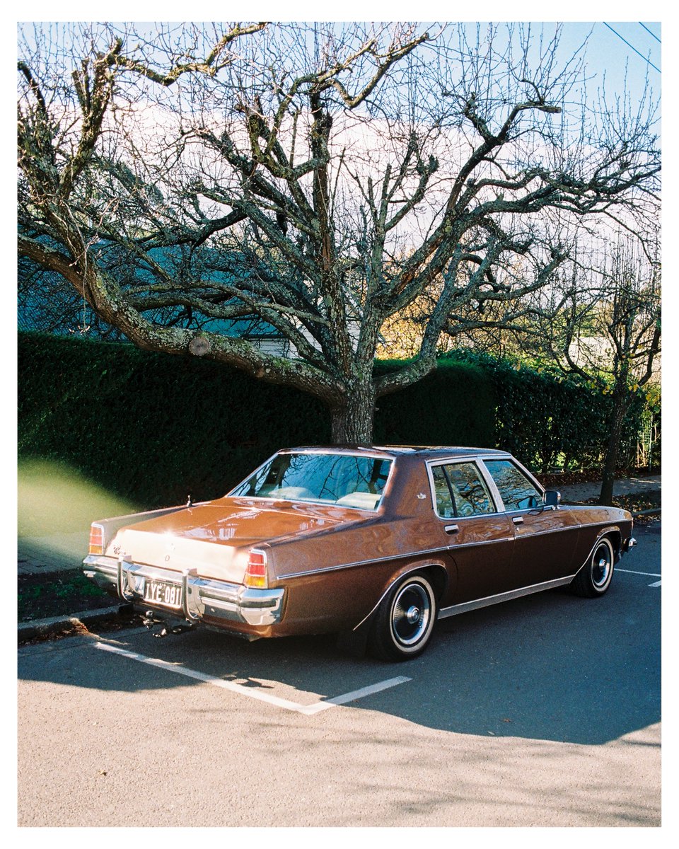 dogpitbul's tweet photo. This month’s Kodak Gold scans. Still my favourite film colours, and they inspired me to try something different with the borders. Hope you like them! https://t.co/lWRGzhMM2X