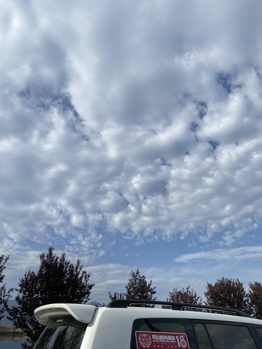 Edrisbrookpuyq's tweet photo. [空を仰ぐと、小さな青い円がポツンと浮かんでた。季節のはじまりの小さな幸せ。]， https://t.co/ovxVWuVaJc