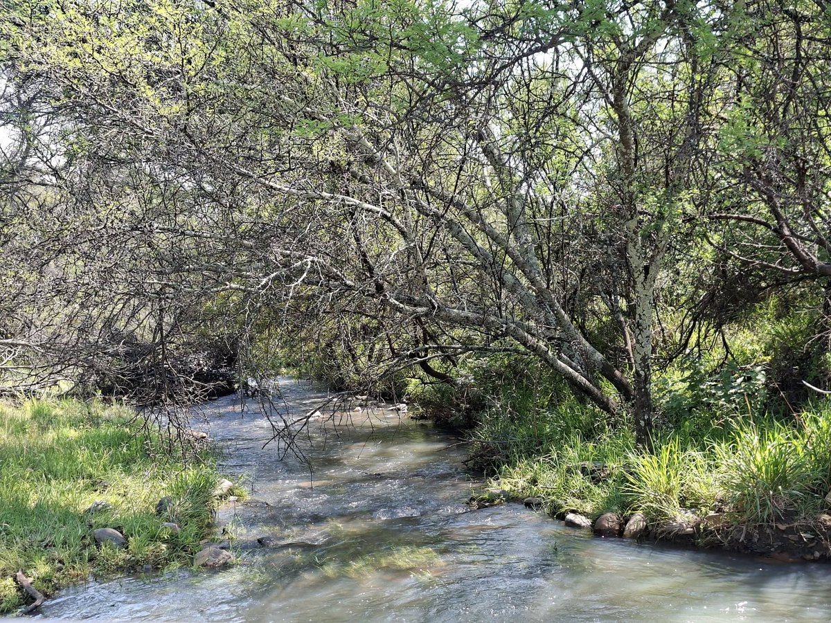 SANParksMZNP's tweet photo. We love to see all the streams flowing in #MountainZebraNationalPark! 📷Vinette du Preez #LiveYourWild #WildBackYard @SANParks https://t.co/iodUmwuLGP