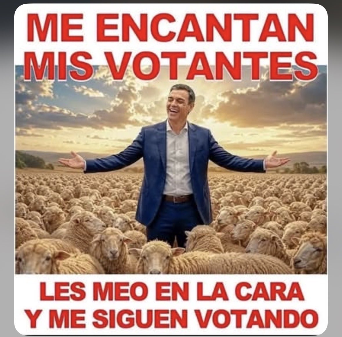 DamianMonVDL's tweet photo. @Cidpedrosanchez https://t.co/0YeGSAbNpV