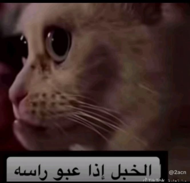 L_M2i's tweet photo. @twilightdau https://t.co/cM6jMywgWZ
