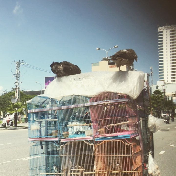 diego178526's tweet photo. Eagles available for sale. https://t.co/bxNaYKZk5V