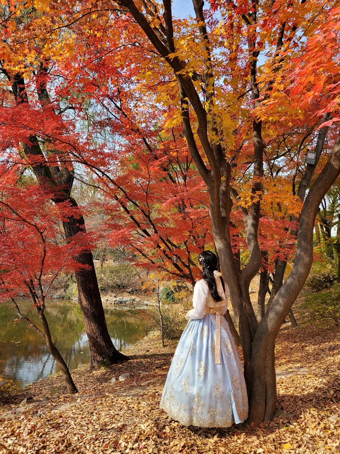 creatrip's tweet photo. Visiting Korea this fall? You can explore Seoul's royal palaces for FREE.

Admission to major palaces and historic sites will be free from Oct 29 to Nov 15 due to the Korea Grand Festival!

📍Gyeongbokgung, Changdeokgung, Deoksugung Palace, Changgyeonggung, Jongmyo Shrine, Joseon Royal Tombs
🗓️ Oct 29 – Nov 15 (excluding regular closure days)

Try renting a hanbok and taking some fall photos at the palaces. (Trend tip: Queen-style hanbok is trending in Korea right now! )

I tried it myself and loved twirling around in the beautiful dress. Plus, getting my hair styled made my photos turn out much much much better.

Explore popular hanbok rental shops on Creatrip👘👇
https://t.co/o2Jw71EePY