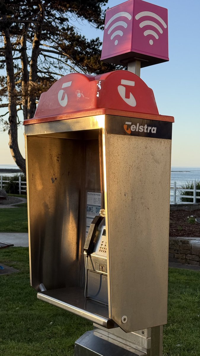 wapple15's tweet photo. Penguin TAS π¦πΊ #TelephoneBoxTuesday https://t.co/da2EvYsd0r