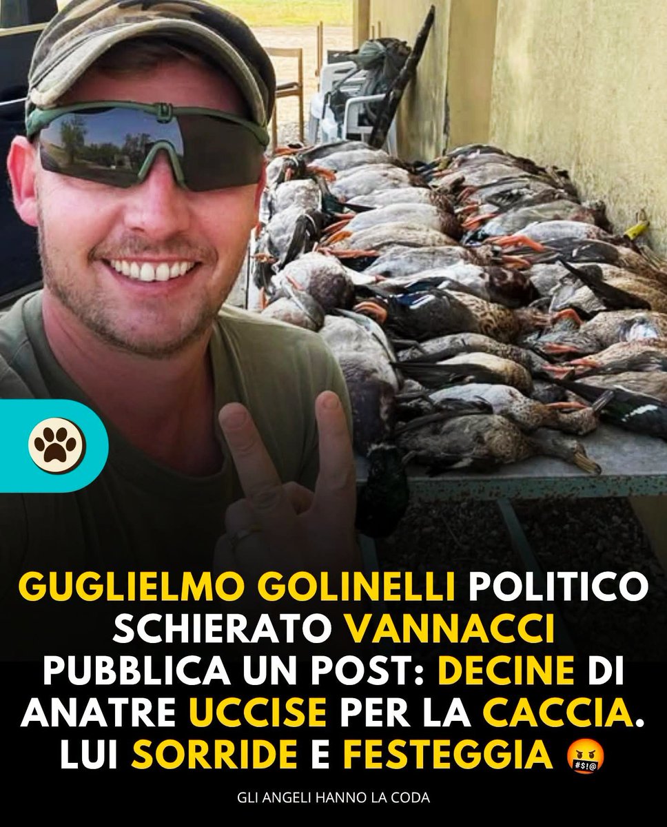 gianni_runco's tweet photo. È triste pensare che al mondo ci siano persone così inutili, squallide, malvage e violente. 💩 #stopcaccia #noddlsparatutto #BastaCaccia #ispra 
 #AnimalRights #crisiclimatica 
#AnimalWelfare #CrueltyFree #animallovers #TutelaFauna #biodiversità #bracconaggio #empatia #compassion https://t.co/3sGciCOd74
