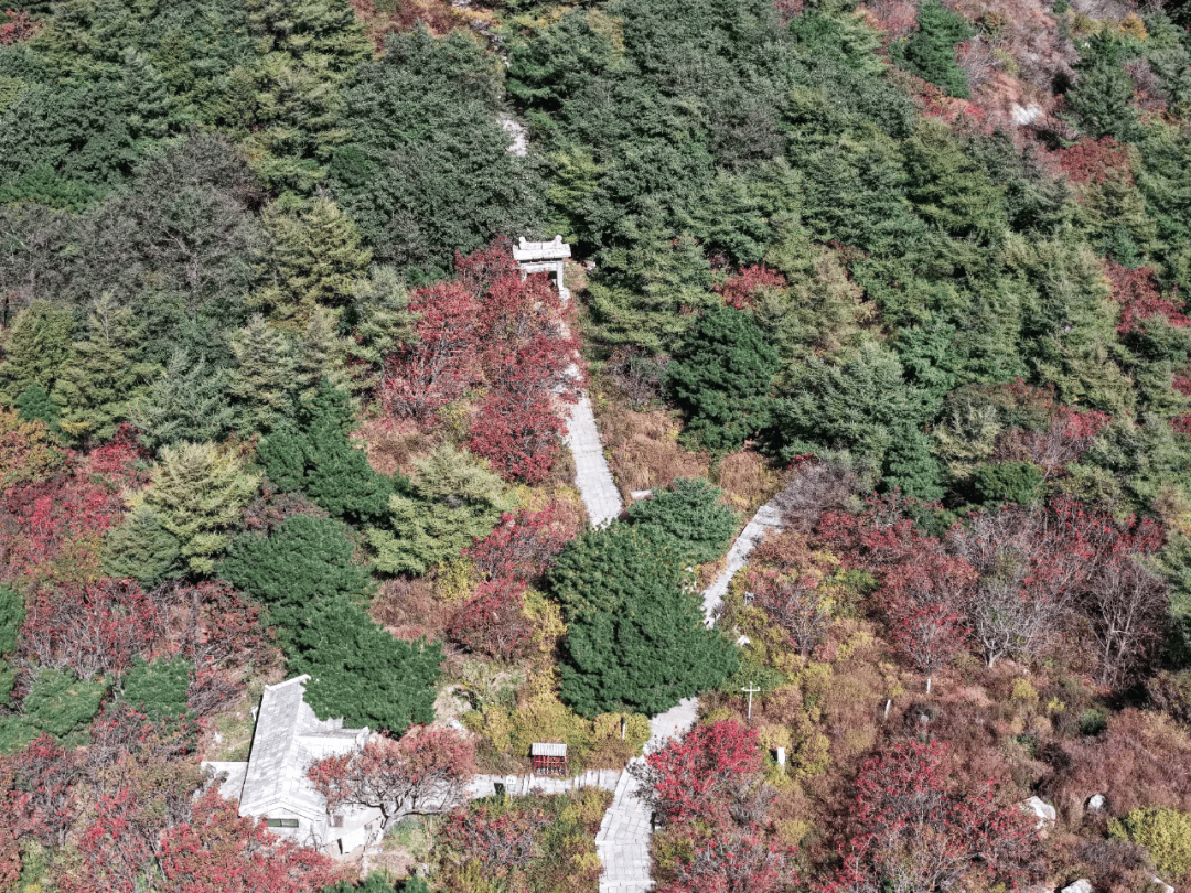 chji9198's tweet photo. [今日散歩で、裳を靡かせ阜の麓で草花を眺めながら鳥の声に耳を澄ました。日常の小さな幸せを感じる素敵な時間だった]， https://t.co/cAYaRsznCC