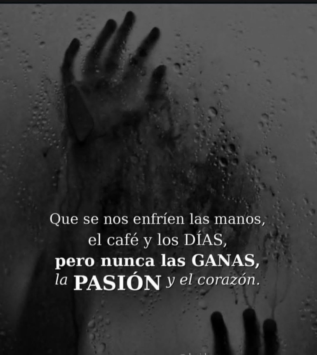 LauraMendo3_'s tweet photo. https://t.co/ObKBRC9yr2