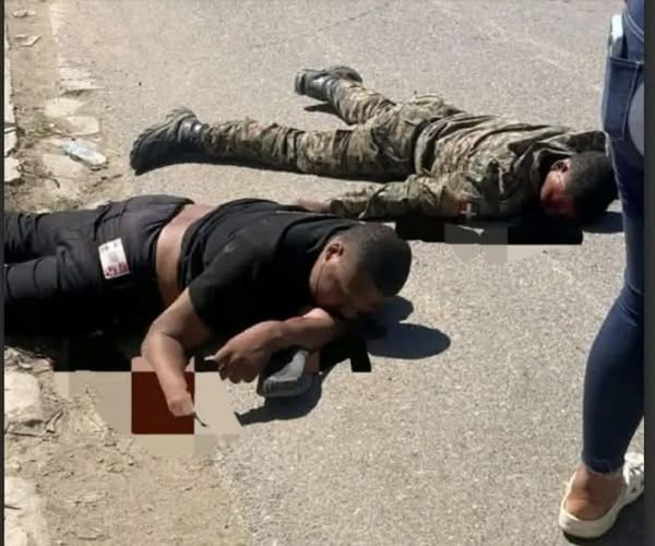 Cristodelalibe1's tweet photo. !! MILITARES DOMINICANOS ATROPELLADOS POR UN HAITIANO EN DAJABÓN  !!
Así quedaron los dos jóvenes dominicanos de 22 años miembros del ejército luego de ser atropellados por un haitiano en dajabón.
Y EL PUEBLO NO DESPIERTA. https://t.co/9npI7hQSFk