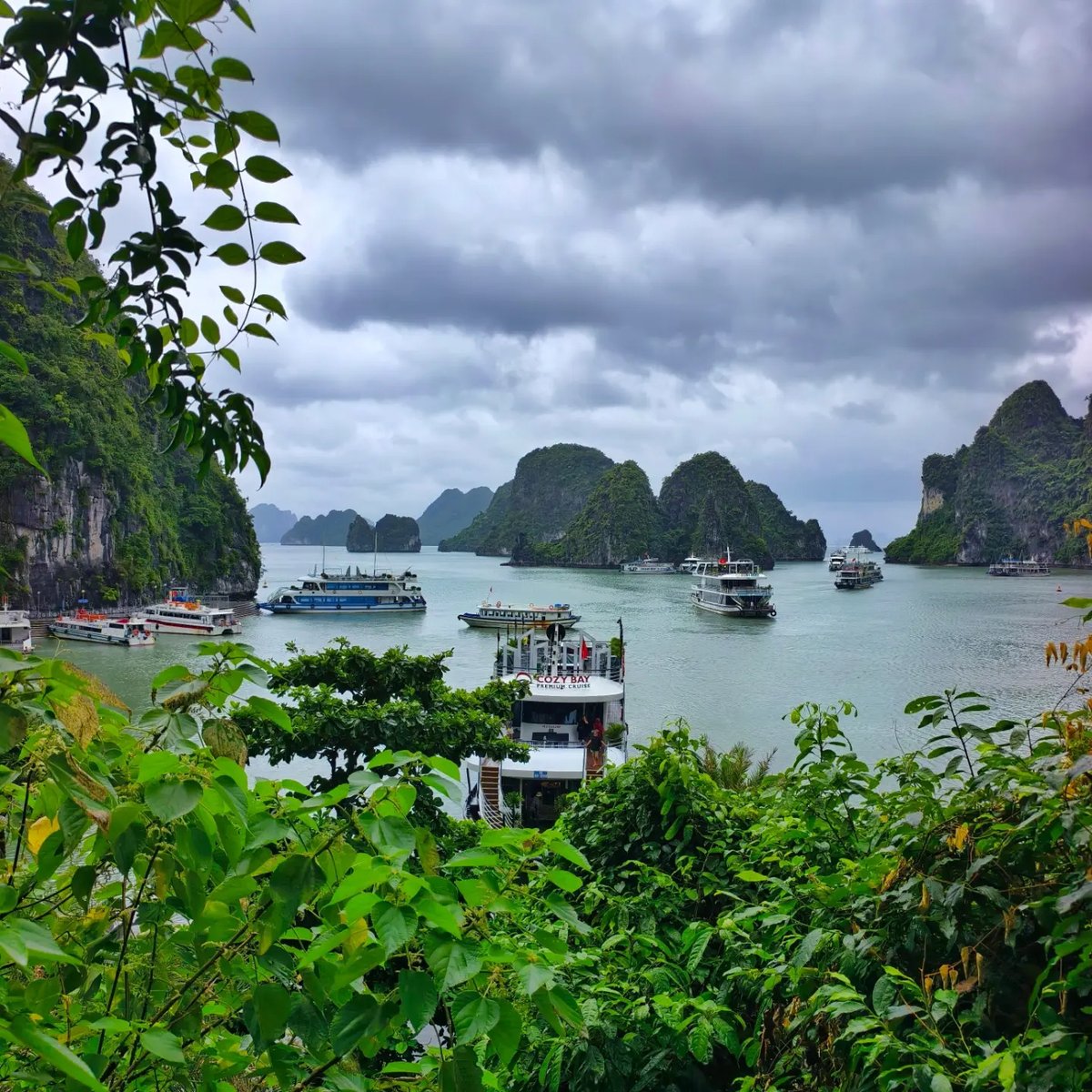 brendomaia's tweet photo. Felt like stepping straight into a fantasy movie. Ha Long Bay feels like another planet. https://t.co/cFQ8p7MmZS